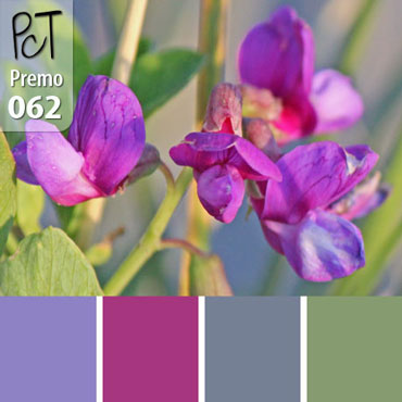 Fetching Vetch Palette c-062 Premo