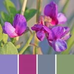 Fetching Vetch Palette c-062 Premo