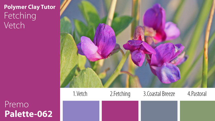 Fetching Vetch Palette c-062 Premo