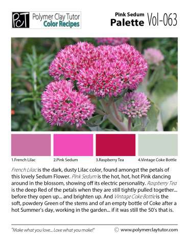 Pink Sedum Palette c-063 Premo