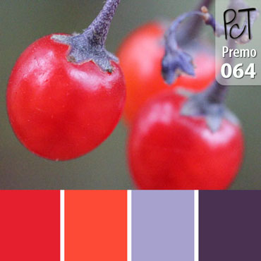 Nightshade Palette c-064 Premo