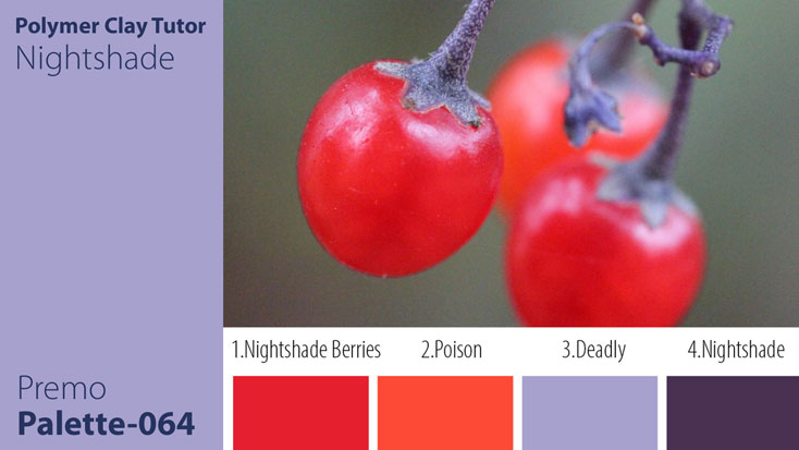 Nightshade Palette c-064 Premo