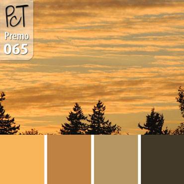 Early Morn Palette c-065 Premo