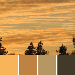 Early Morn Palette c-065 Premo