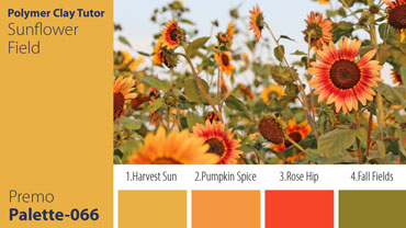 Sunflower Field Palette c-066 Premo