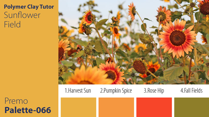 c-066 Sunflower Field Palette Premo Sunflower Field Palette c-066 Premo