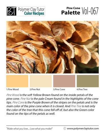 Pine Cone Palette c-067 Premo