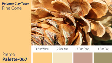 Pine Cone Palette c-067 Premo