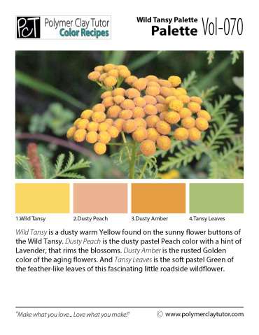 Wild Tansy Palette c-070 Premo