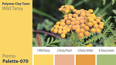 Wild Tansy Palette c-070 Premo
