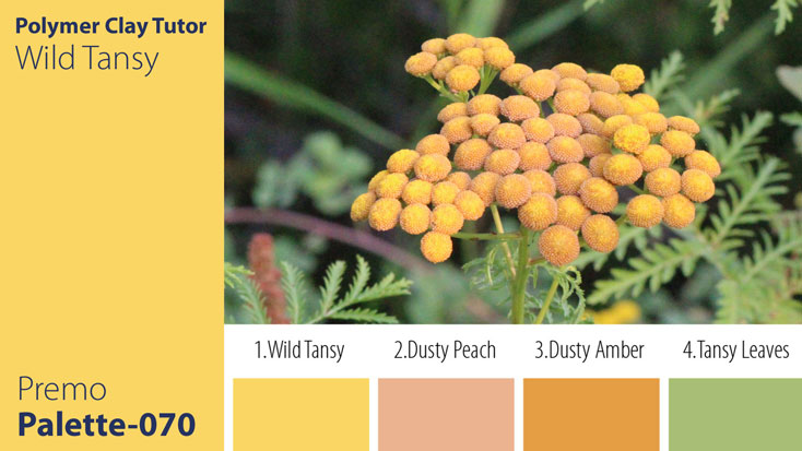 c-070 Wild Tansy Palette Premo Wild Tansy Palette c-070 Premo