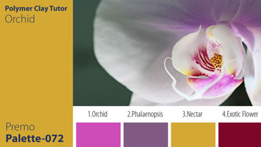 Orchid Palette c-072 Premo