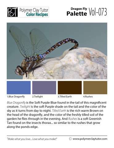 Dragon Fly Palette c-073 Premo