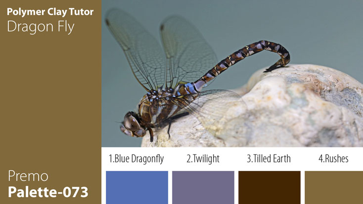 c-073 Dragon Fly Palette Premo Dragon Fly Palette c-073 Premo