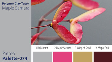 Maple Samara Palette c-074 Premo