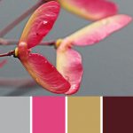 Maple Samara Palette c-074 Premo