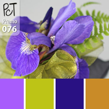 Corsage Palette c-076 Premo