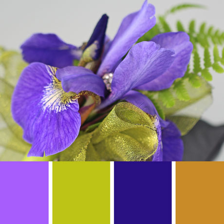 Corsage Palette c-076 Premo