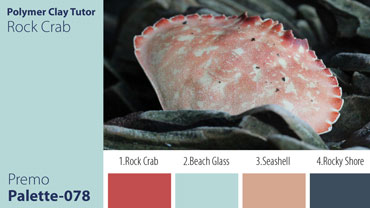 Rock Crab Palette c-078 Premo