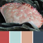 Rock Crab Palette c-078 Premo