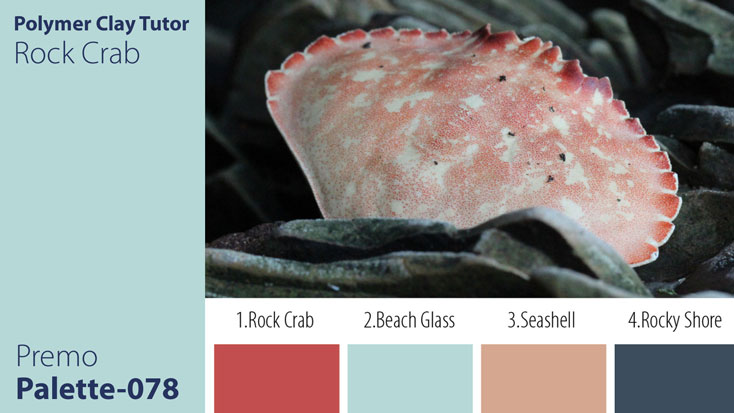 c-078 Rock Crab Palette Premo Rock Crab Palette c-078 Premo