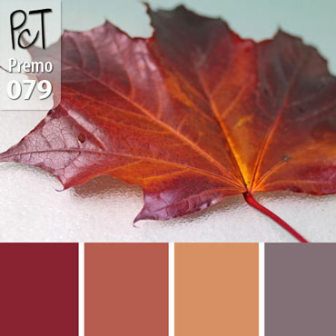 Falling Palette c-079 Premo