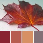 Falling Palette c-079 Premo