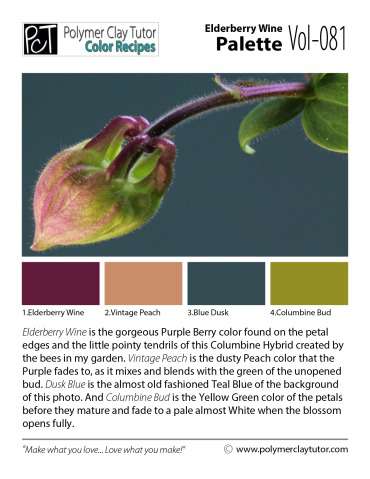 Columbine Bud Palette c-081 Premo