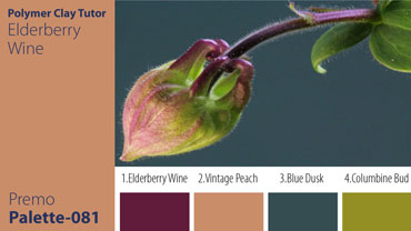 Columbine Bud Palette c-081 Premo