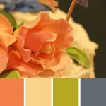 Sugar Rose Palette c-082 Premo