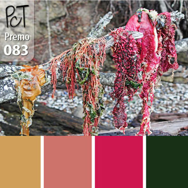 Seaweed Palette c-083 Premo