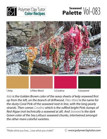 Seaweed Palette c-083 Premo