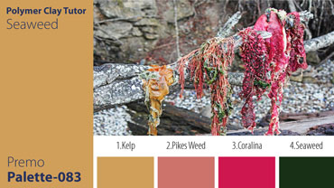 Seaweed Palette c-083 Premo