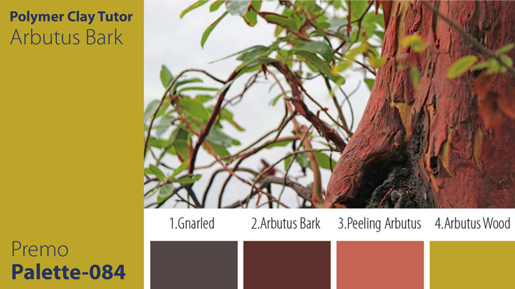 Arbutus Bark Palette c-084 Premo