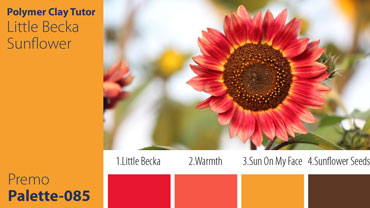 Little Becka Sunflower Palette c-085 Premo