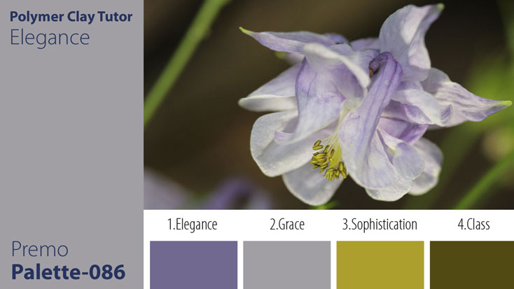 Elegance Palette c-086 Premo