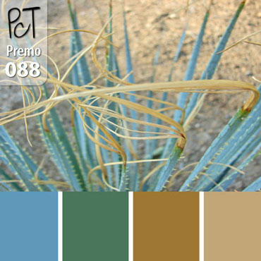 Aloe Vera Palette c-088 Premo