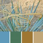 Aloe Vera Palette c-088 Premo