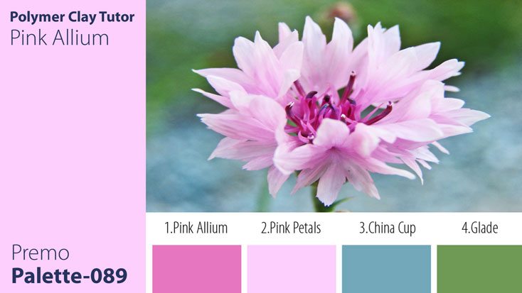 Pink Allium Palette c-089 Premo