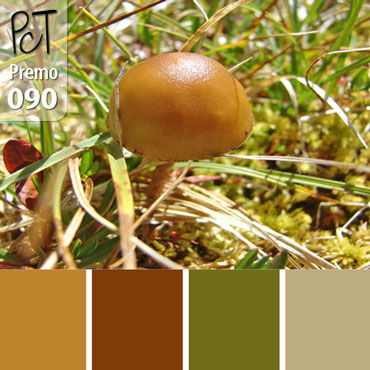 Mushroom Palette c-090 Premo