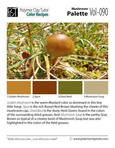 Mushroom Palette c-090 Premo