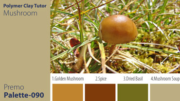 Mushroom Palette c-090 Premo