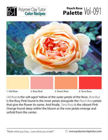 Peach Rose Palette c-091 Premo