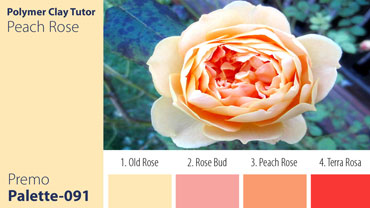 Peach Rose Palette c-091 Premo