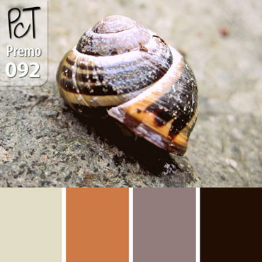 Earth Tone Snail Palette c-092 Premo