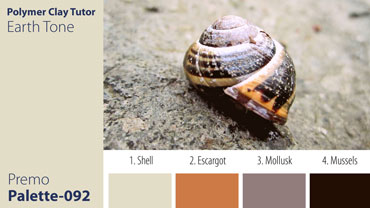 Earth Tone Snail Palette c-092 Premo