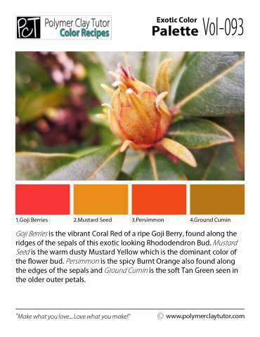 Exotic Color Palette c-093 Premo