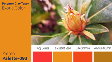 Exotic Color Palette c-093 Premo