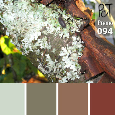 Peeled Bark Palette c-094 Premo
