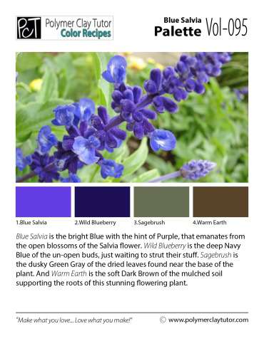 Blue Salvia Palette c-095 Premo